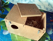 Дуплянка, домик или гнездо (гнездовой ящик) для попугаев неразлучников